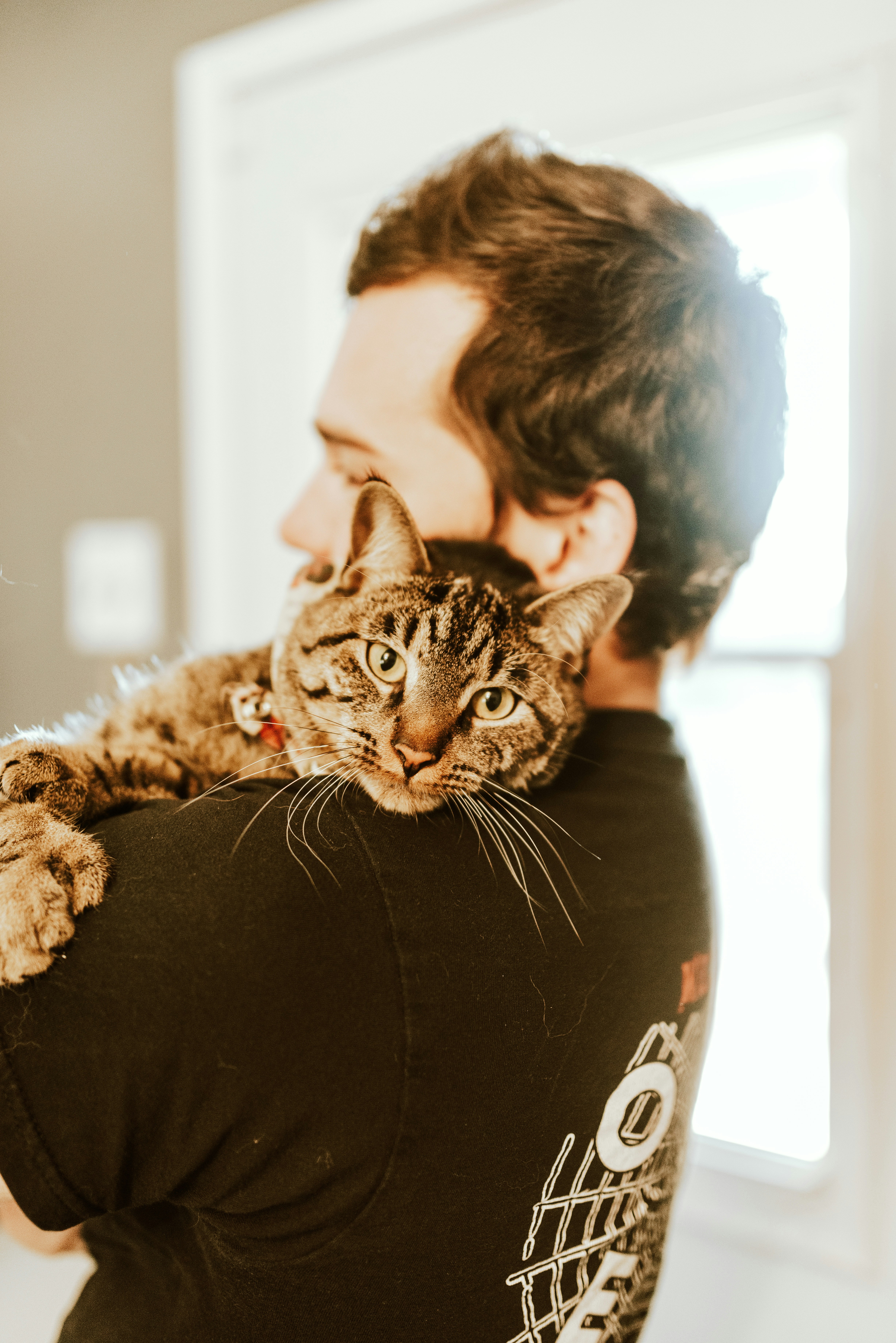 Person holding a cat